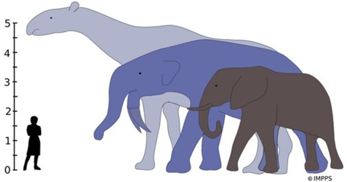 Dinosaur die-off cleared way for gigantic mammals